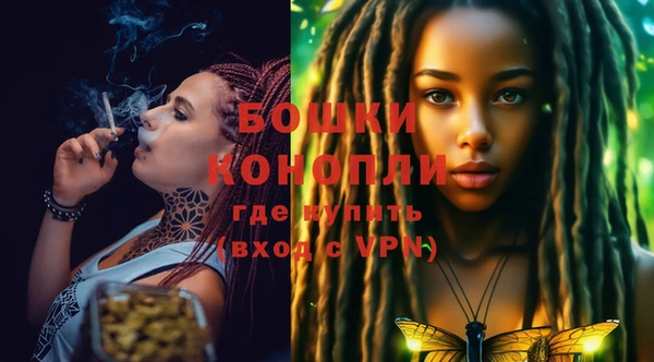 прущие крисы Кулебаки