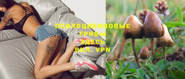 прущие крисы Кулебаки