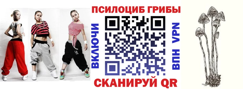 Купить закладки  Цимлянск  Псилоцибиновые грибы GOLDEN TEACHER 